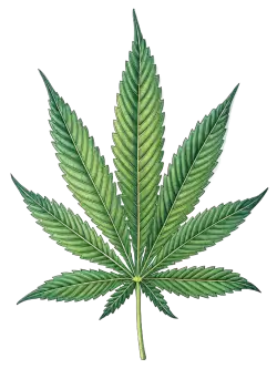 Imagen PNG para descargar